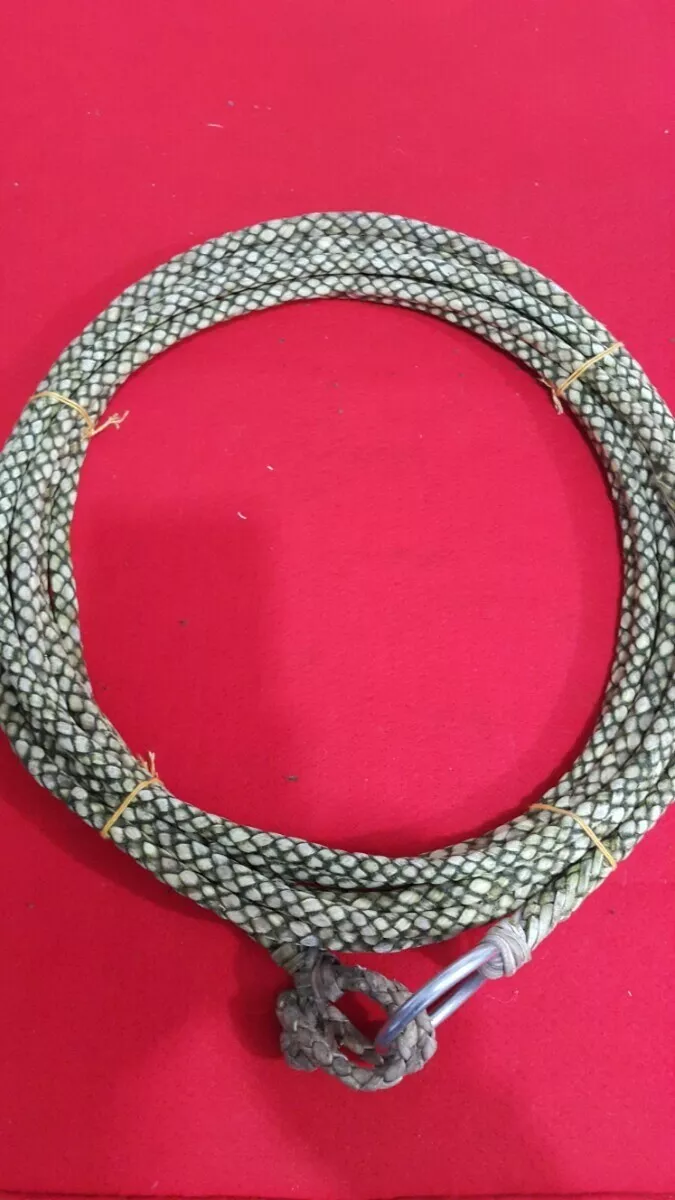  65 Foot Rawhide Leather Lariat Lasso Rodeo Ranch Rope SOGA Cuero  Crudo SOGA : Todo lo demás