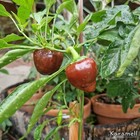 Bild 8 von 24