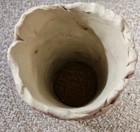 Picture 8 of 12