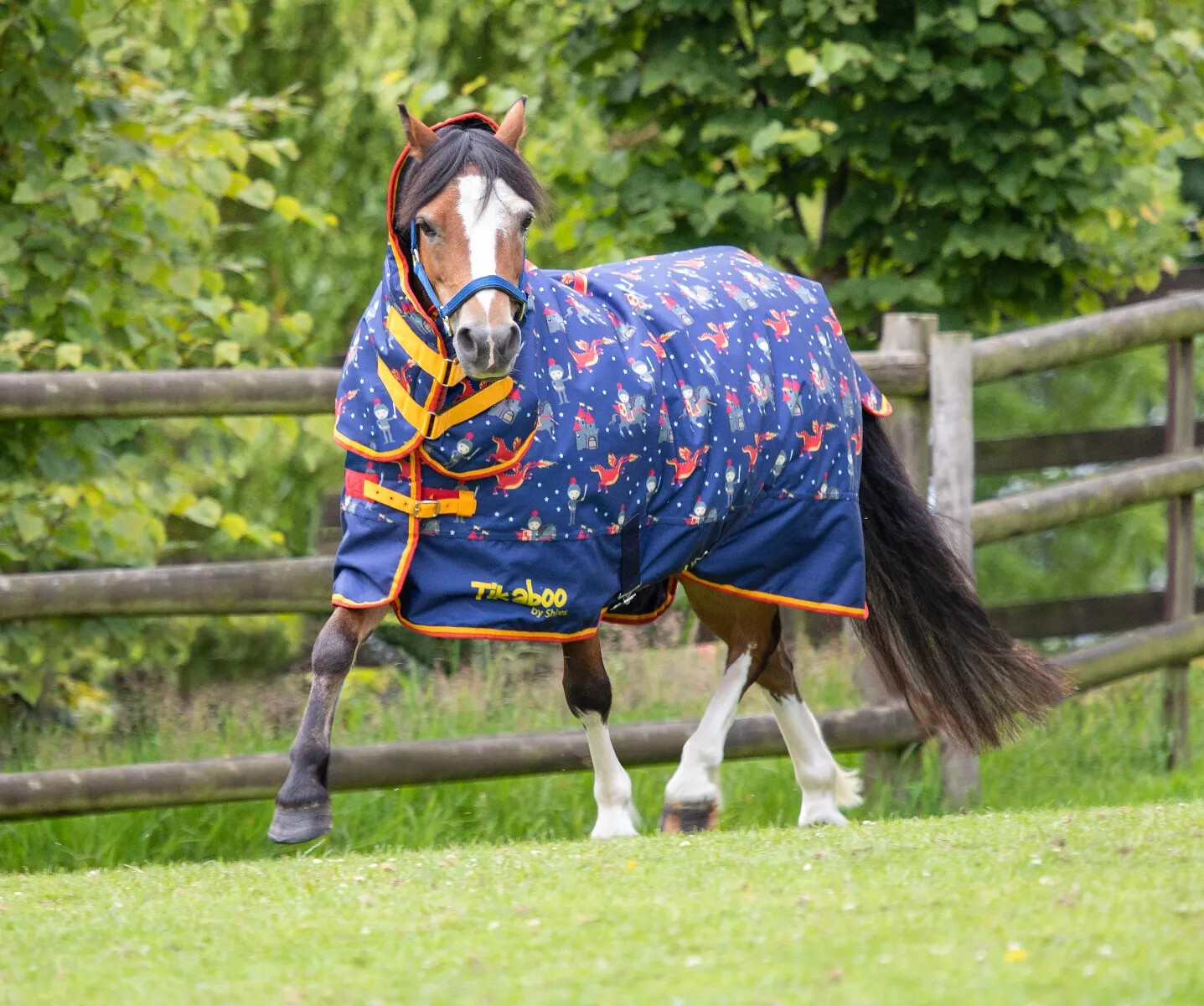 Shires Tikaboo 200g Pony Combo Turnout Rug Full Neck 4 Colours 3'6
