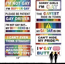 10-pack Magnetic Rainbow Bumper Decals, Funny Gay Pride Car Stickers for Vehicle