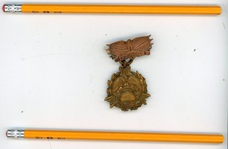 ca 1916 Mexican Border War Campaign medal / badge City of Boston
