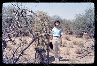 SL21  Slide 1960's  Barrel Cactus Santa Rita Expo Station 558a