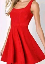 Lulus Skater Mini Dress Medium Red Fit Flare 