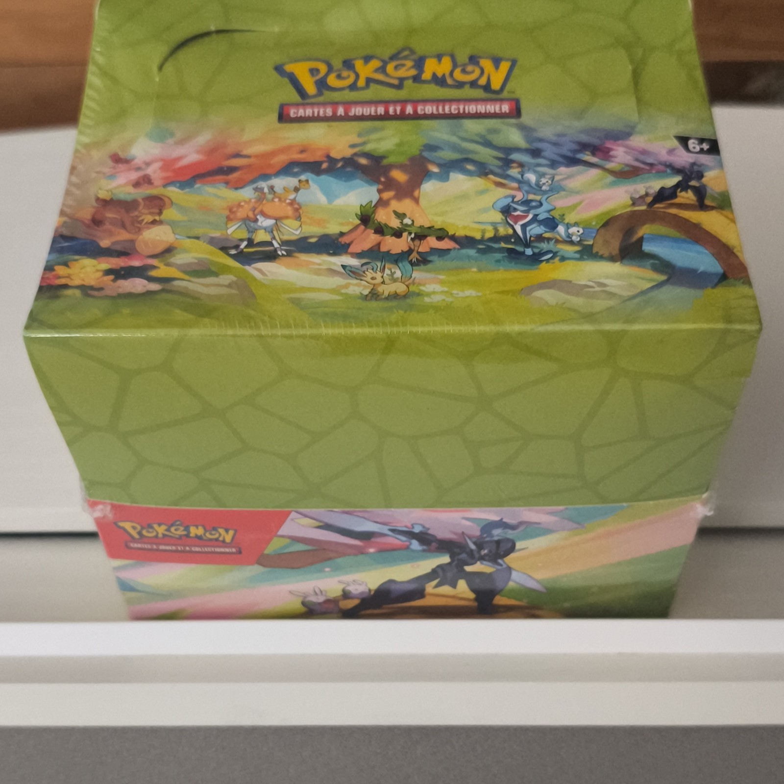 POKEMON Display Mini Tin Magnifique Paldea / EV03 EV04 - Scellée. 🔥🔥FR