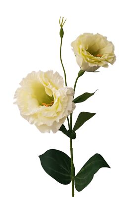 künstliche Eustoma Lisianthus weiß lind 50cm Kunstblumen Sommerdeko