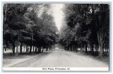 Princeton Illinois IL Postcard Elm Place Dirt Road Tree Lined c1910's Antique