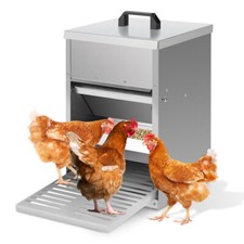 Mangiatoia automatica polli con pedana dispenser mangime pollame mangiatoia