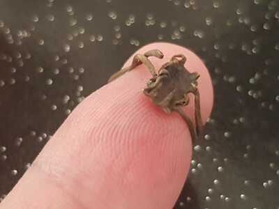 Really nice little project Post Medieval ring. Please read description. L60e
