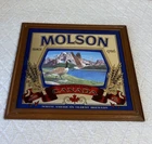 Vintage Molson Imported From Canada Geese Mirror Bar Beer Sign 20x19 Inch