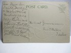 1910 POSTCARD EASTER GREETINGS, CHICK ON EGG CART, FORGET-ME-NOTS — photo 2