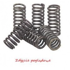 KUPPLUNGSFEDERN HONDA VTX 1300 (03-08) HONDA CBF 1000 (OHNE ABS) (06-11)
