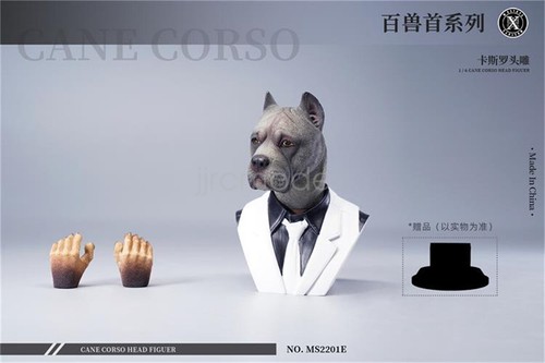 For Mostoys 1/6 Canna Corso Testa Figura Animale Decorazione Soldato Accessorio Modello - Foto 25 di 26