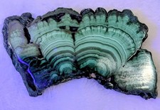 Natural double polished  super high contrast Malachite Slab