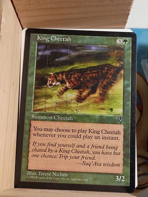 King Cheetah Visions Regular