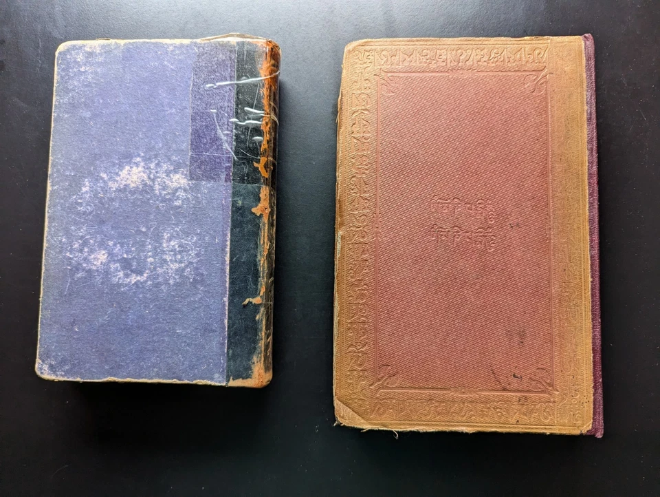 Himalayan Journals 1854 1st Ed 2 Vols Bengal Khasi Mountains Exploration Travel - Image 3 of 4