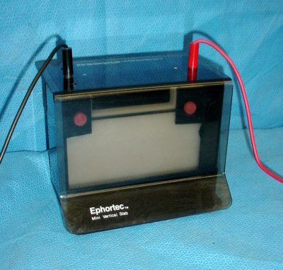 HBI Ephortec Mini Vertical Slab Electrophoresis Compact Gel Drying System
