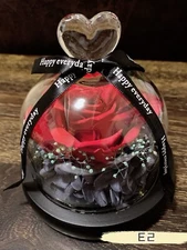 Eternal Rose flower Preserved rose everlasting rose flower gift with Led Light