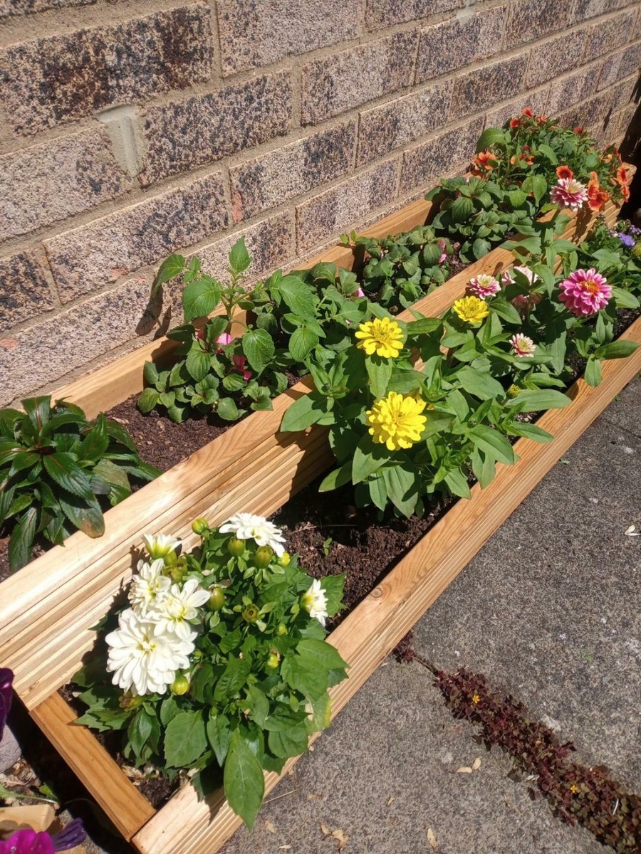 Fioriera Da Esterno A 2 Livelli 115x114x76 Cm In Legno Di Abete Naturale - Foto 7