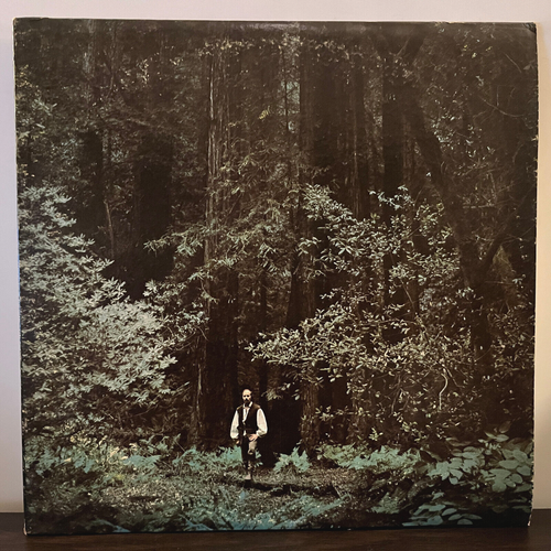 Paul Winter & Consort - Something In The Wind (1969) - 12" Vinyl Schallplatte LP - EX