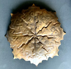 2 BRONZE CANDLE HOLDERS WITH ONE PLATE MAPLE LEAF WITH ACORNS 10 1/2" AND 5 1/4" — photo 8