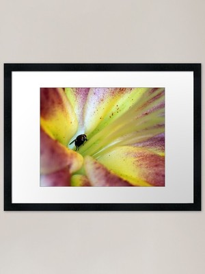 Let's Get Buzzeeee! Gerahmtes Kunstdruck gerahmtes Wandbild Poster Leinwanddruck Bild