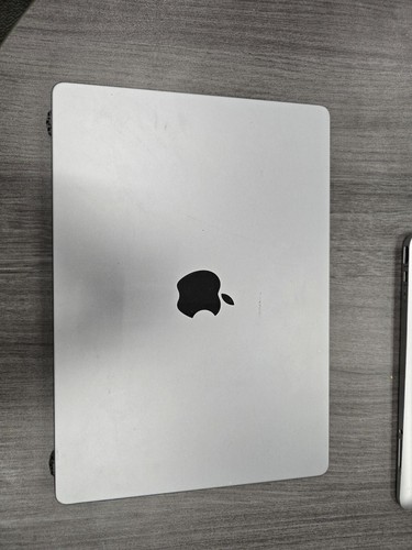 Genuine Apple Screen Assembly for Macbook Pro 14'' A2918 A2442 M1 Gray B3 Bad