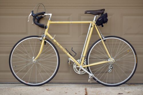 Ganna Classic Italian Race Bike Vintage Campagnolo Paris Roubaix
