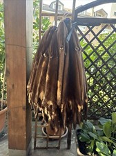 24 Pelli Visone Maschio A 50 Euro L Uno Più Regalo Un Mazzo Di 36 Pelli Visone N