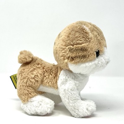 Kitten Tsushima Scottish Fold Animal Kingdom Original Plush Sun lemon