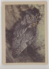 1958 Oak Manufacturing Birds Vending Machine Screech Owl 0b6