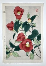 Yuichi Osuga Woodblock Print “Camellia” Kyoto Unsodo Flower Prints