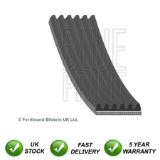 Alternator Belt SJR Fits Kia Sportage Sorento Hyundai ix35 Santa Fe