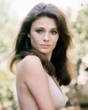 Jacqueline Bisset Posing In Lingerie 8x10 PHOTO PRINT