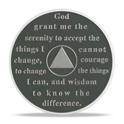 Reborn in Sobriety Skull Coin AA Chips Medallion Inspirational