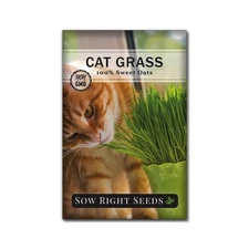 Sow Right Seeds - Cat Grass Seeds for Planting - 100% Sweet Oats - Non-GMO He...