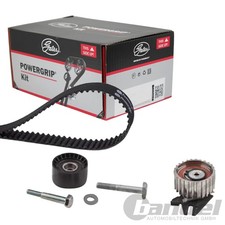 Courroie de distribution Fiat SEDICI
