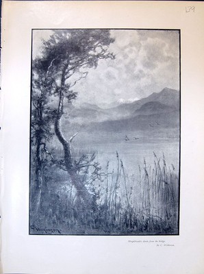 Old Macgillicudy'S Reeks Bridge Wilkinson Homestead Loch Currance 190 Victorian