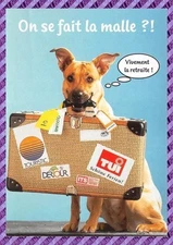 Dog Postcard (121165)