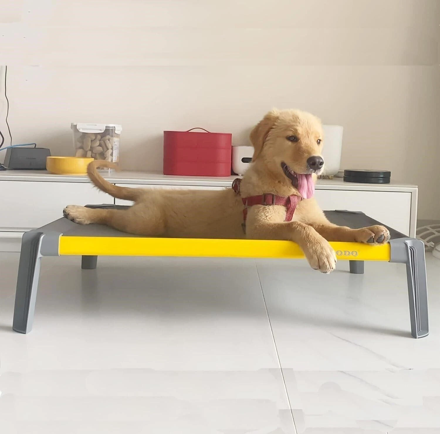 NEW, Orthopedic Lightweight Dog Bed, #AM8124-127
