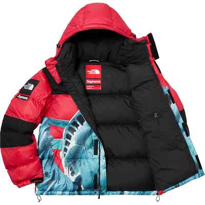 Supreme The North Face Statue of Liberty Baltoro Jacket Red | eBay