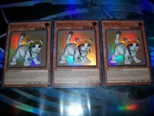 Rescue Cat RA02-EN001 25th Anniversary Rarity Collection II for