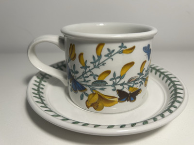 Portmeirion Botanic Garden Cytisus Scoparius Besen Kaffeetasse & Untertasse 1972
