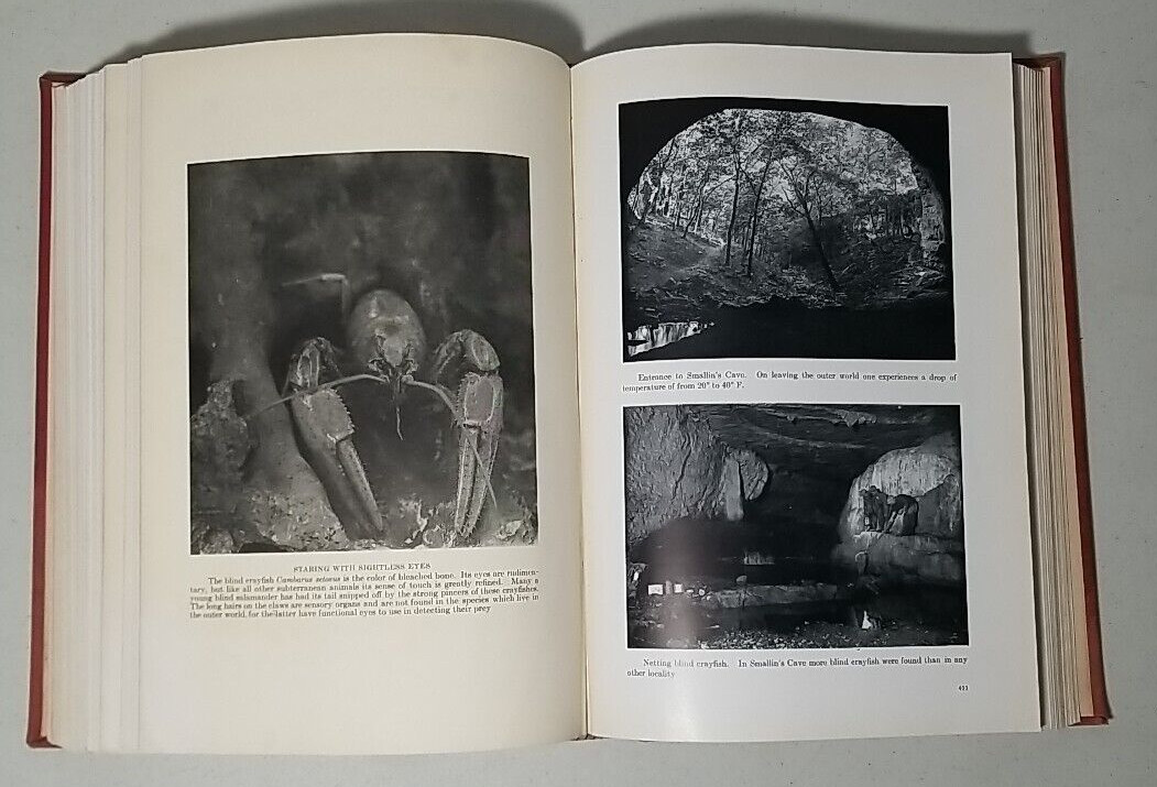 1927 NATURAL HISTORY The Journal of Museum of Natural History Vol 27 6 Issues