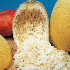 100+ SPAGHETTI SQUASH SEEDS - WINTER ------ HEIRLOOM -- NON GMO ------ FRESH