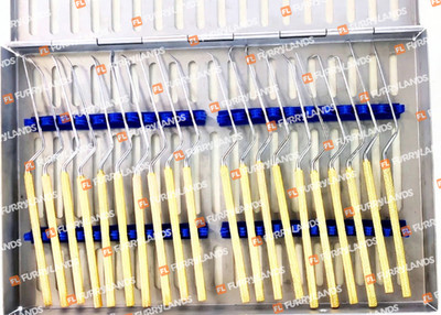 Micro Dissector Set 20 Pcs with Golden Handles Sterilization Box