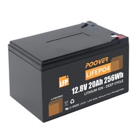 Lifepo4 20Ah 12V Akku 256Wh Lithium Batterie 20A Bms FüR Wohnmobil, Fischfinder