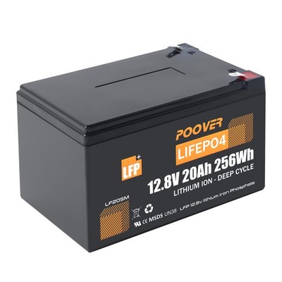 LiFePO4 20Ah 12V Akku 256Wh Lithium batterie 20A BMS für Wohnmobil, Fischfinder