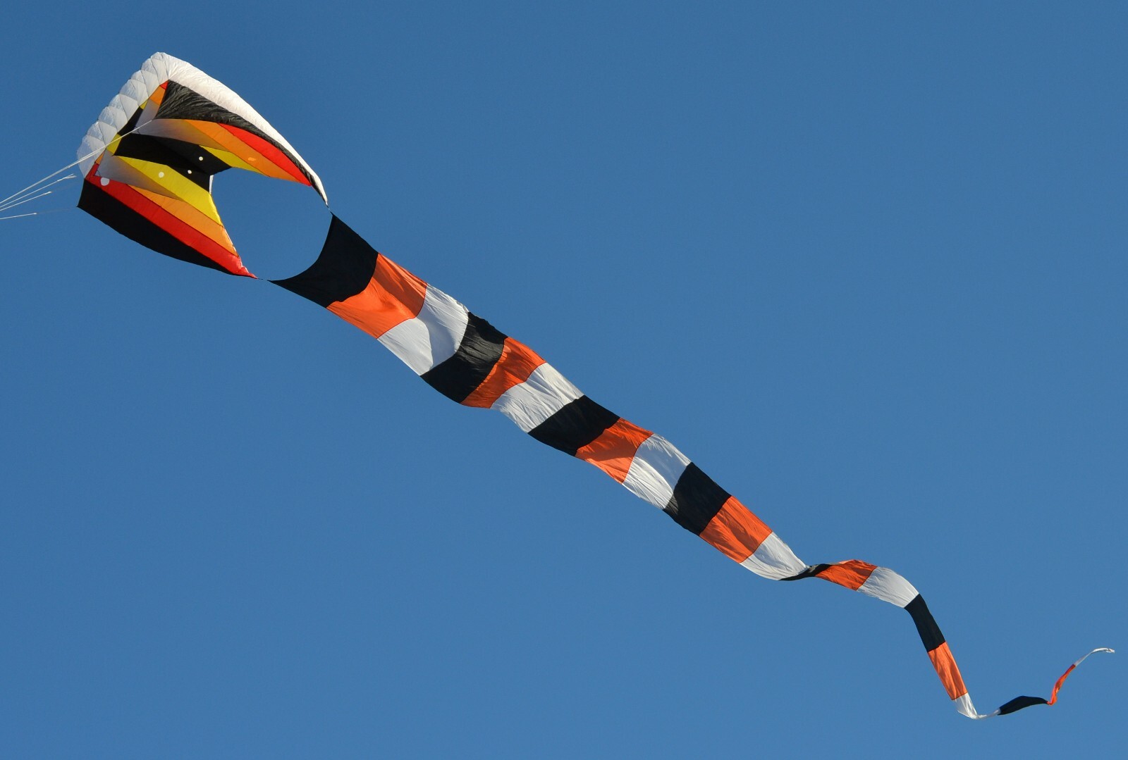 Ron Mazzotta Kite Collection Gomberg Kites Skyform 60 with 75' Flow