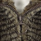 Bild 8 von 10